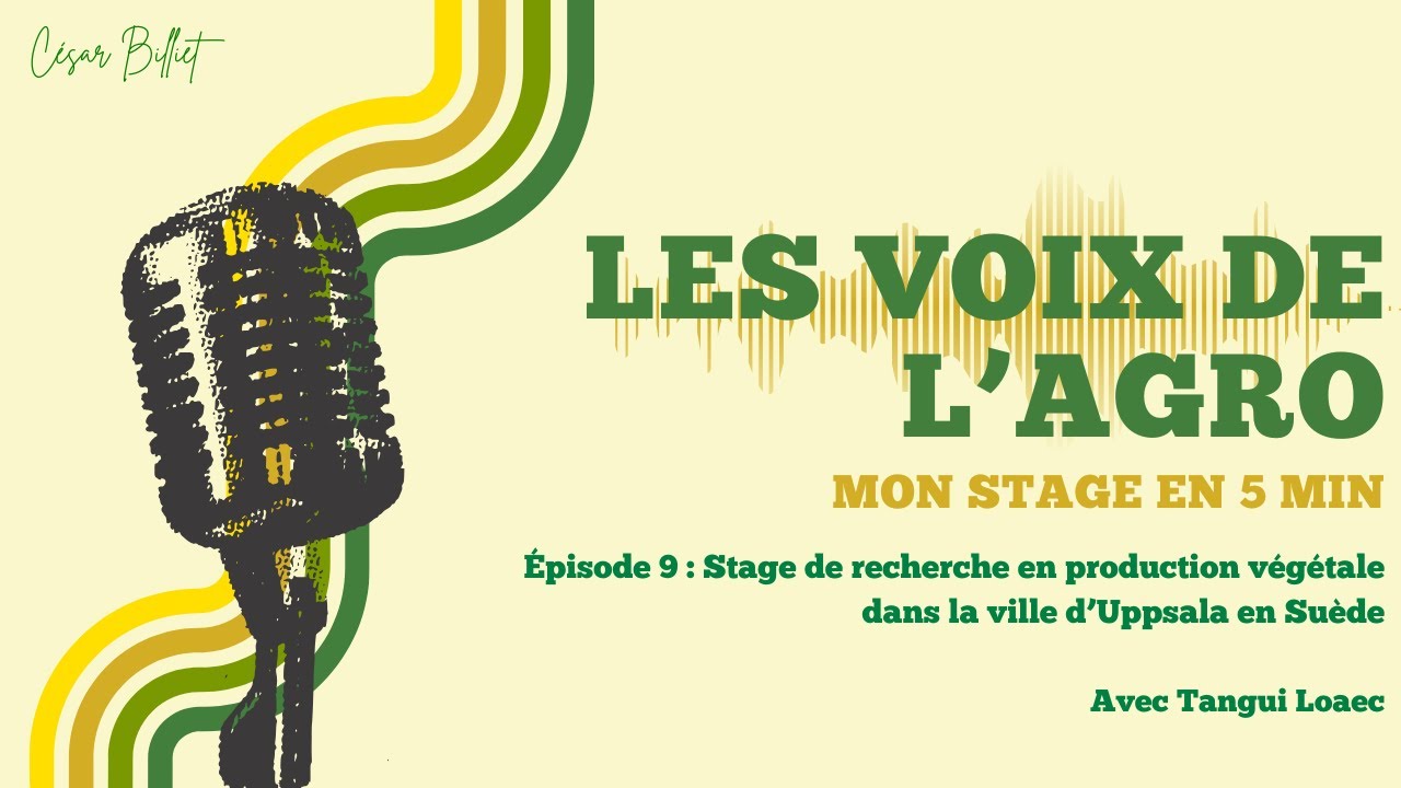 Mon stage en 5 minutes #9 (Recherche en production v&eacute;g&eacute;tale en Su&egrave;de)
