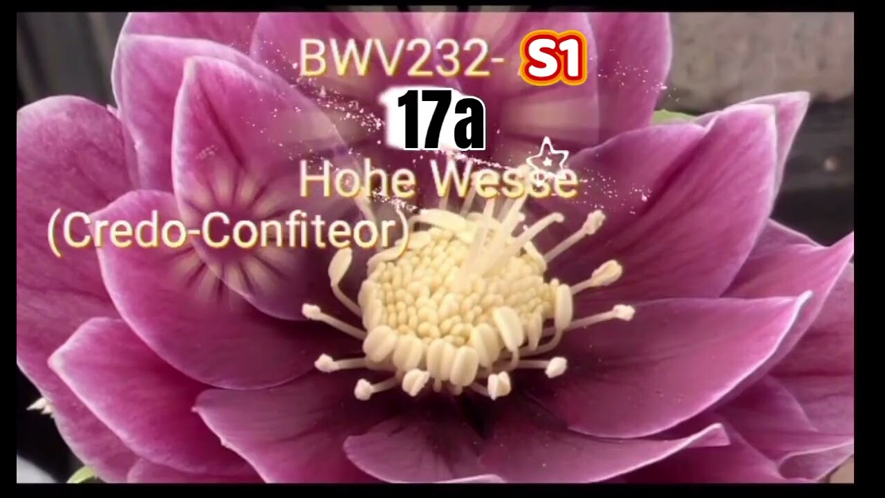 BWV232- 15,17a,17b  Soprano1 Chorus Practice With Machine Voice 逐語訳付き　合唱 ソプラノ1　音取り音取りと実践　バッハ　ロ短調ミサ曲