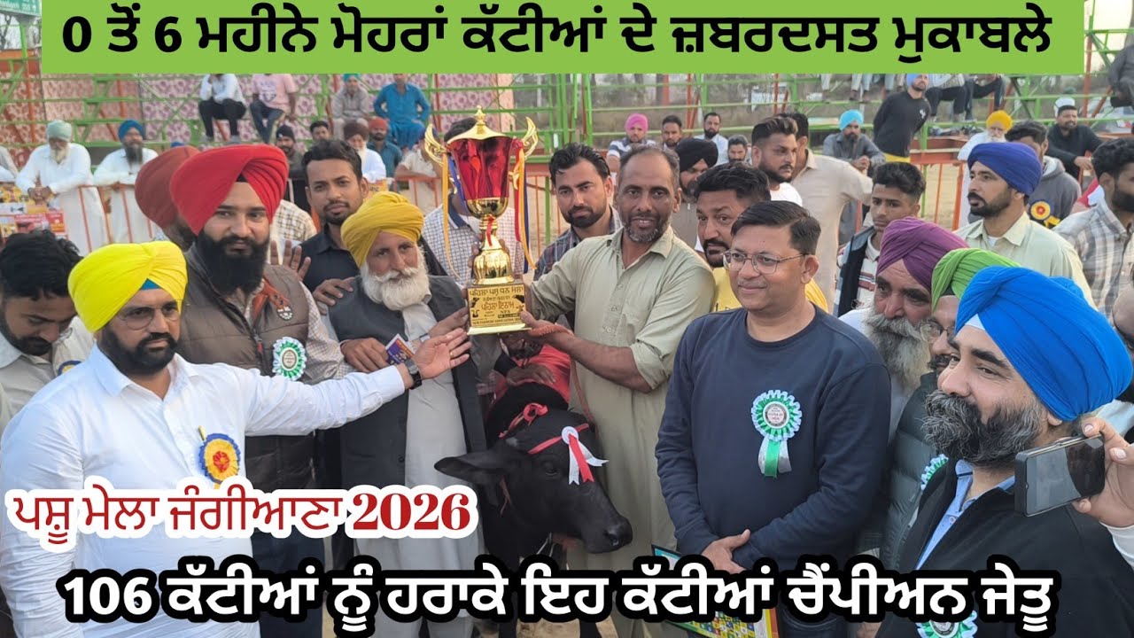 ਪਸ਼ੂ ਮੇਲਾ ਜੰਗੀਆਣਾ 2026 ਮੋਹਰਾਂ 106 ਕੱਟੀਆਂ ਦੇ ਜ਼ਬਰਦਸਤ ਮੁਕਾਬਲੇ ਦੀਆਂ ਜੇਤੂ ਕੱਟੀਆਂ ਦੇਖੋ।