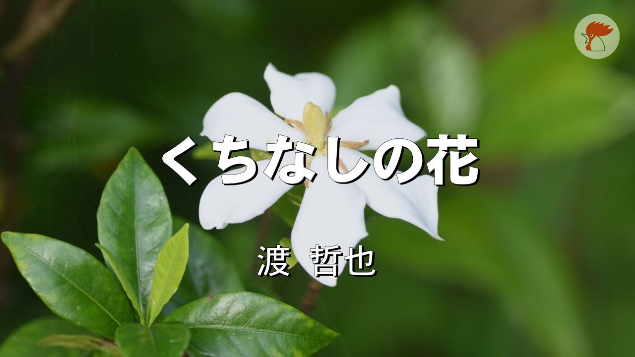くちなしの花【木村好夫 ギター演歌 カラオケ 芥川隆行 ナレーション入り】