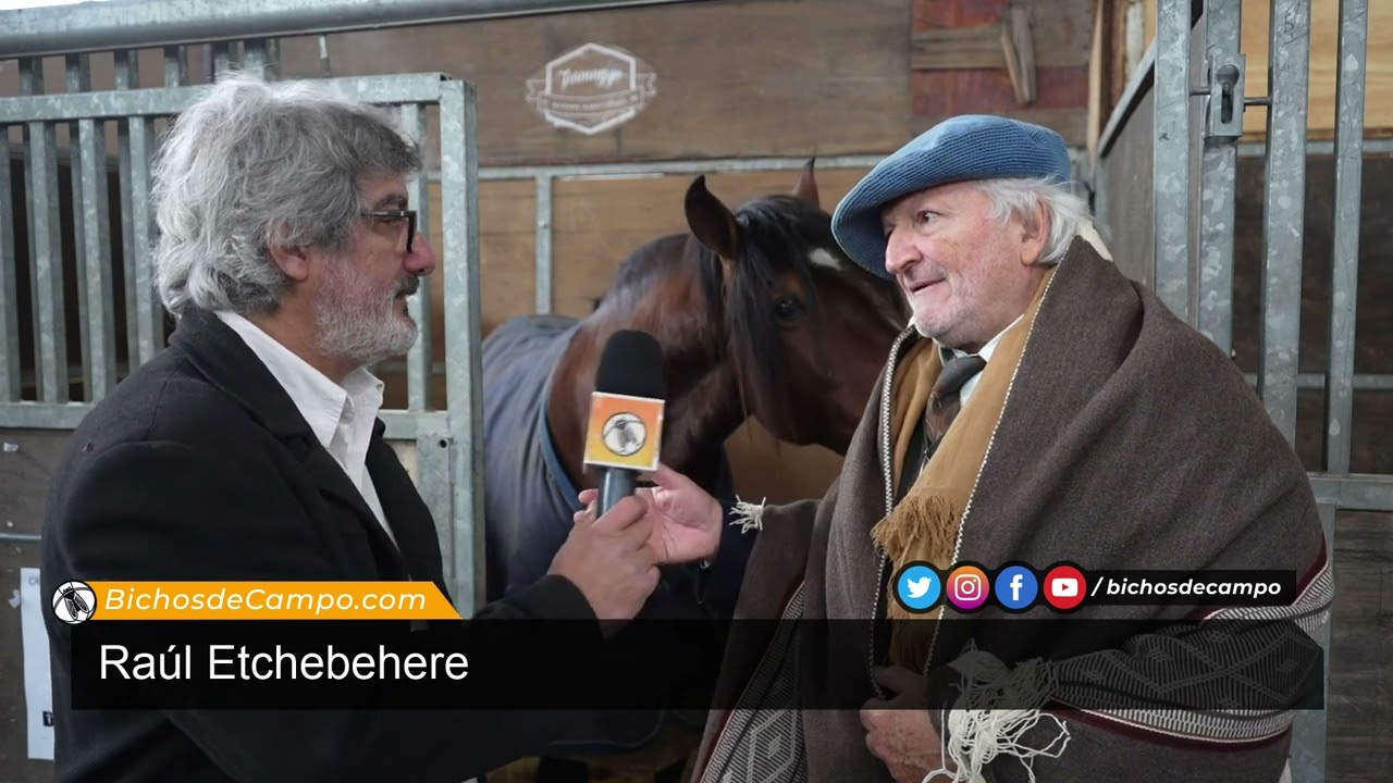 Raúl Etchebehere, presidente de la Asociación Argentina de Criadores de Caballos Criollos (AACC)