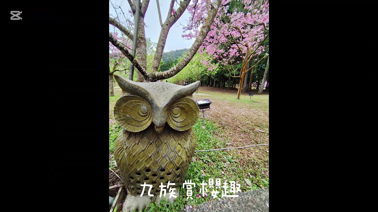 2026年2月28日