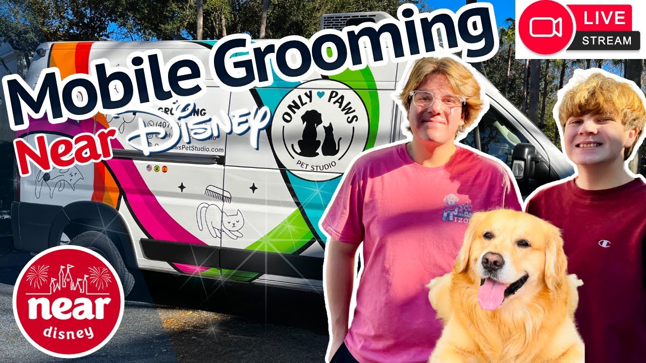 Luxury Mobile Dog Grooming Near Disney — Featuring Buddy!