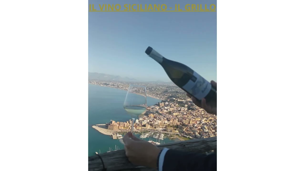 IL VINO SICILIANO - IL GRILLO
