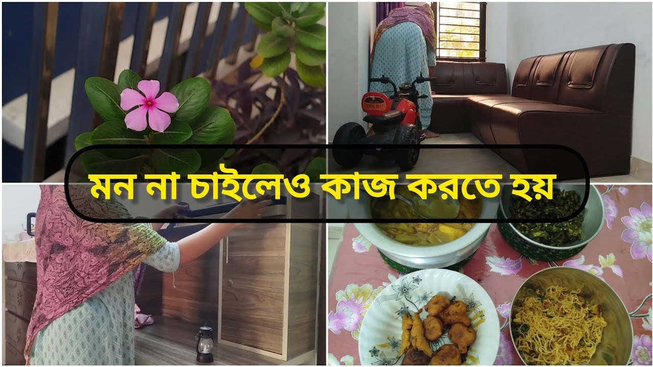 ভালো লাগুক বা মন্দ লাগুক কাজ ফেলে রাখা যায় না |দৈনন্দিন ঘরোয়া কাজ ✨💪