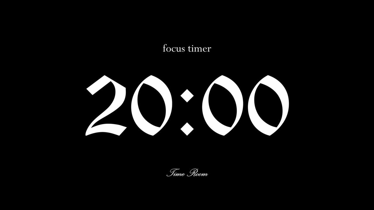 20 Minute Silent Timer with Alarm | Focus & Relax