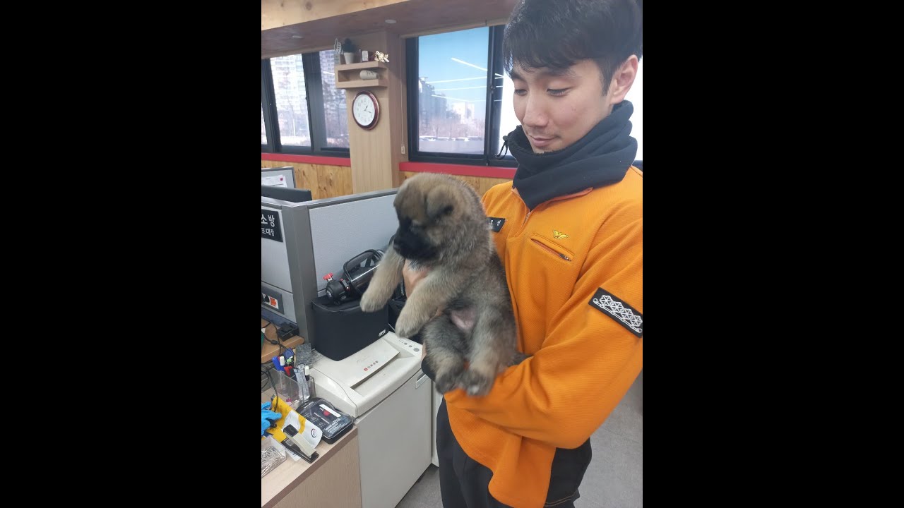 떠나는 권오경 부장님을 기억하며