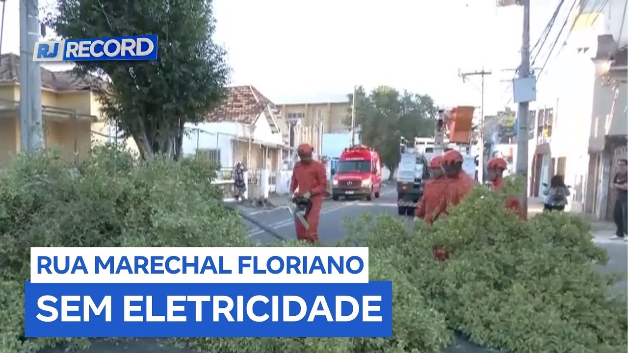 Queda de árvore complica o trânsito e deixa centro de Campos (RJ) sem energia