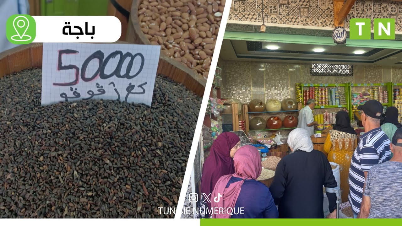 باجة :  كيلو الزقوقو  بــ50  دينار اليوم.. وهذه أسعار الفواكه الجافة