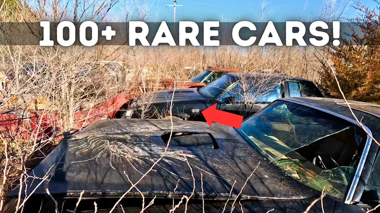 Abandoned GRAND NATIONALS, Trans Ams, Corvettes & More in this Old Junkyard!