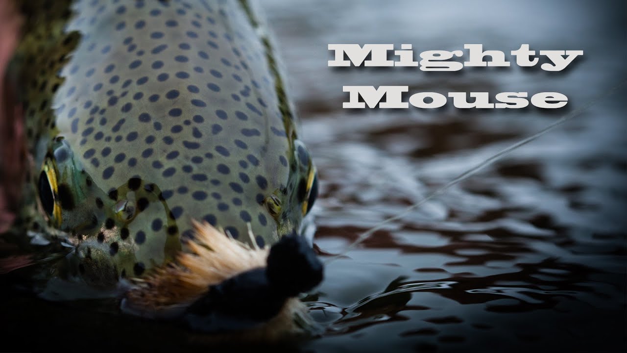 Alaska Mouse Fishing - Mighty Mouse - Aniak River Lodge