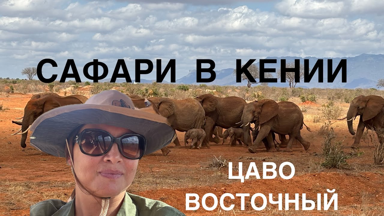 САФАРИ В КЕНИИ. ПАРК « ЦАВО ВОСТОЧНЫЙ»
