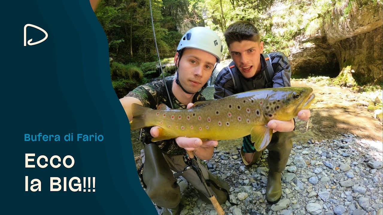 Peschiamo TROTE SELVATICHE e GIGANTI in un torrente DIFFICILE e ABBANDONATO in montagna! Ep.2