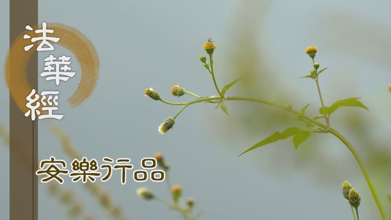 【靜思妙蓮華】法華經安樂行品 - 夢中果相 勝妙之事 - 20230706 第1452集