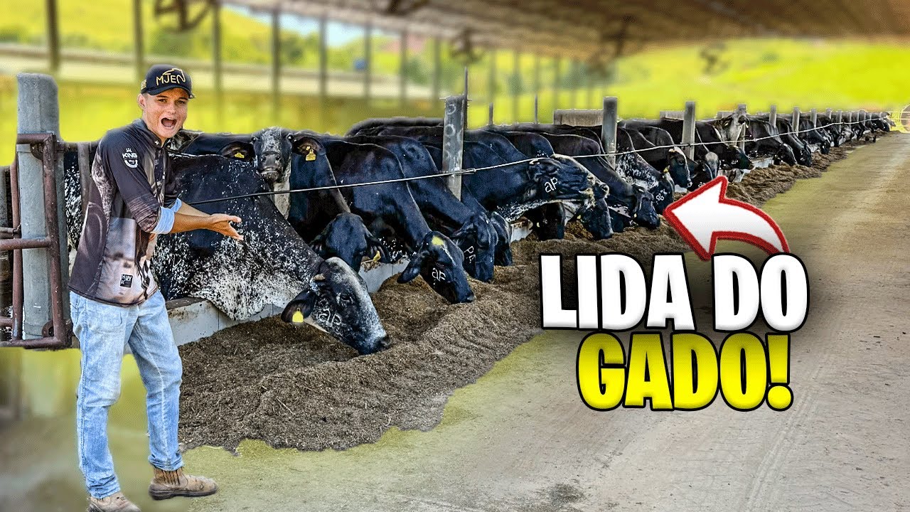 FUI na LIDA do GADO em UMA FAZENDA GIGANTE !!