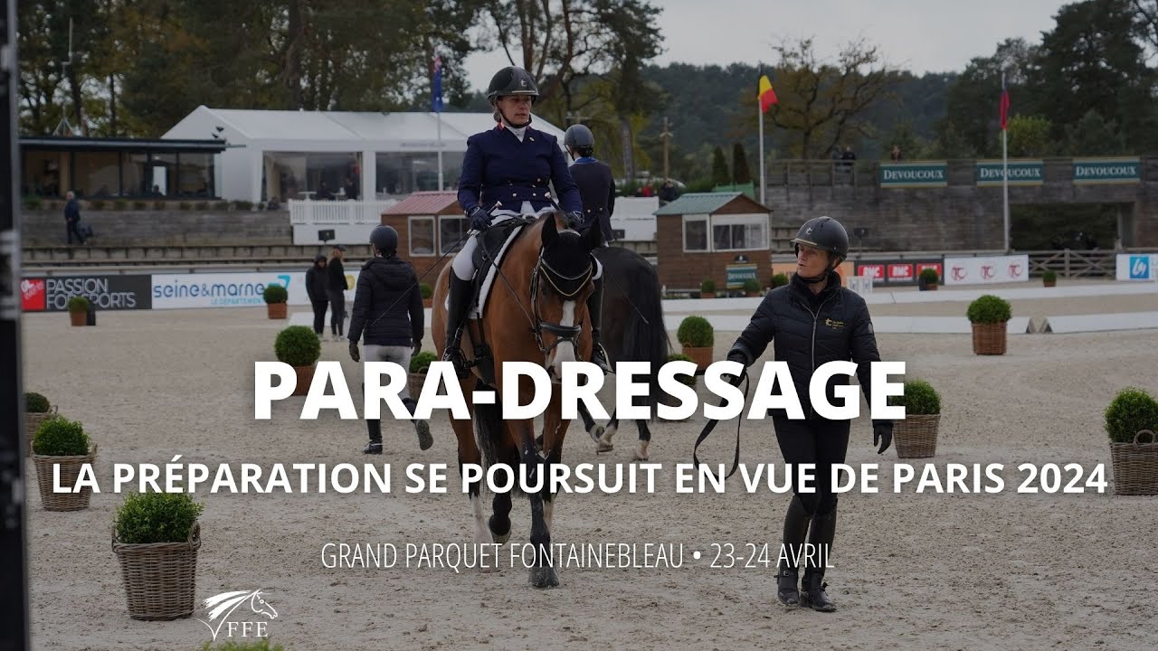 CPEDI 3* à Fontainebleau : la préparation se poursuit vers Paris 2024 !