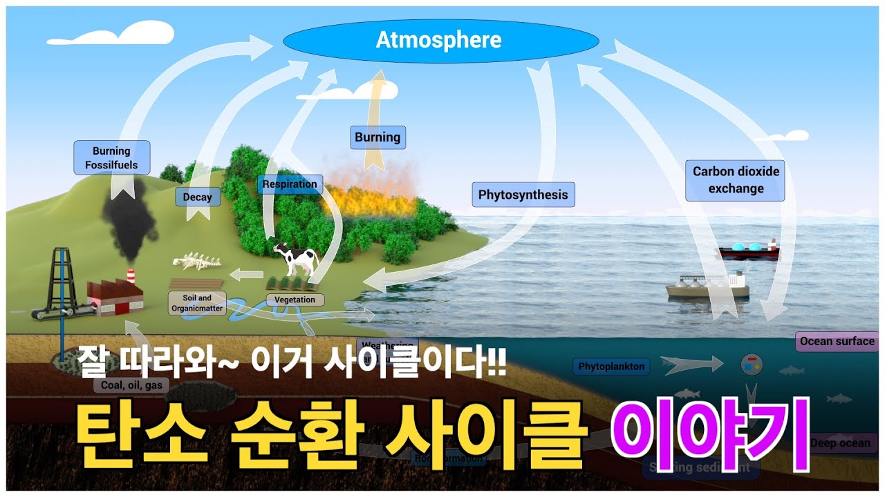 탄소(CO2)의 전지구적 순환사이클은 이 영상 하나로 