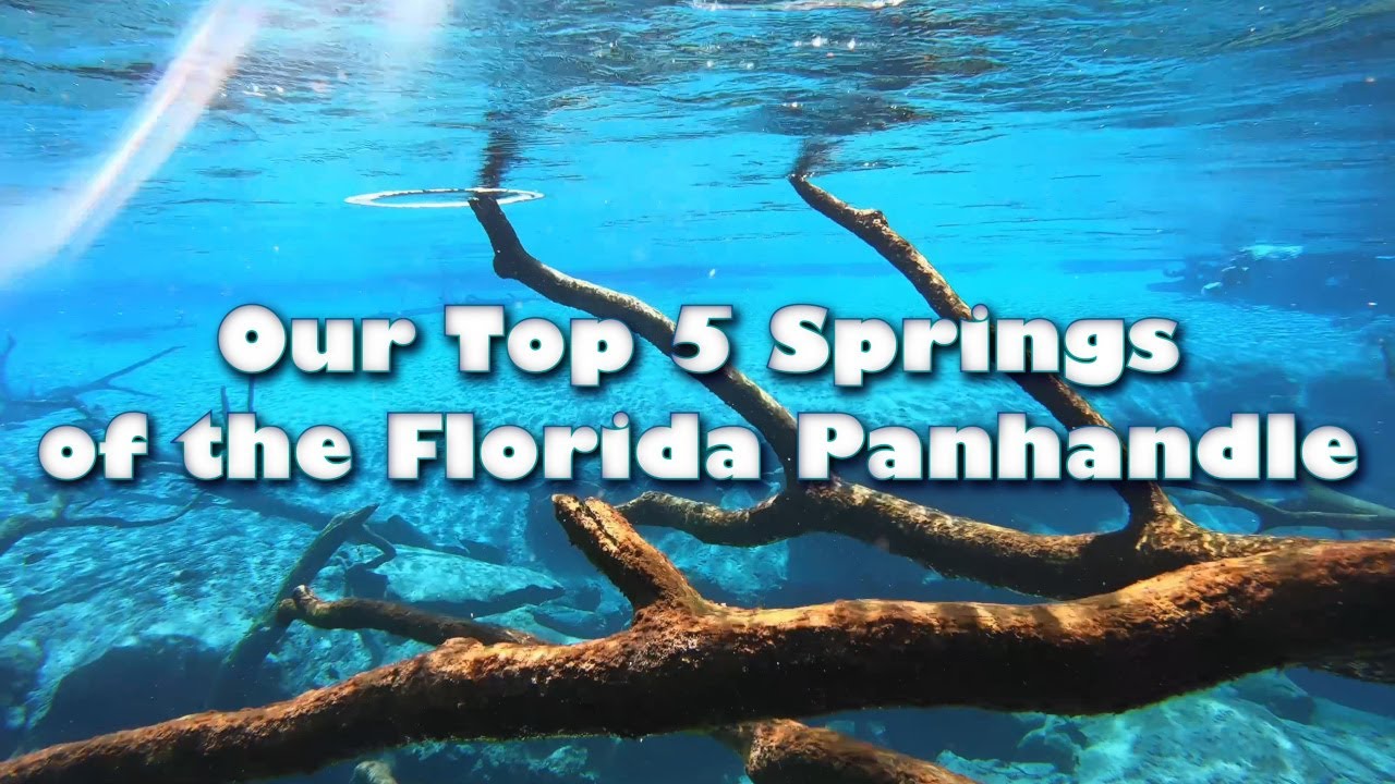 Our Top 5 Springs of the Florida Panhandle in 10 minutes