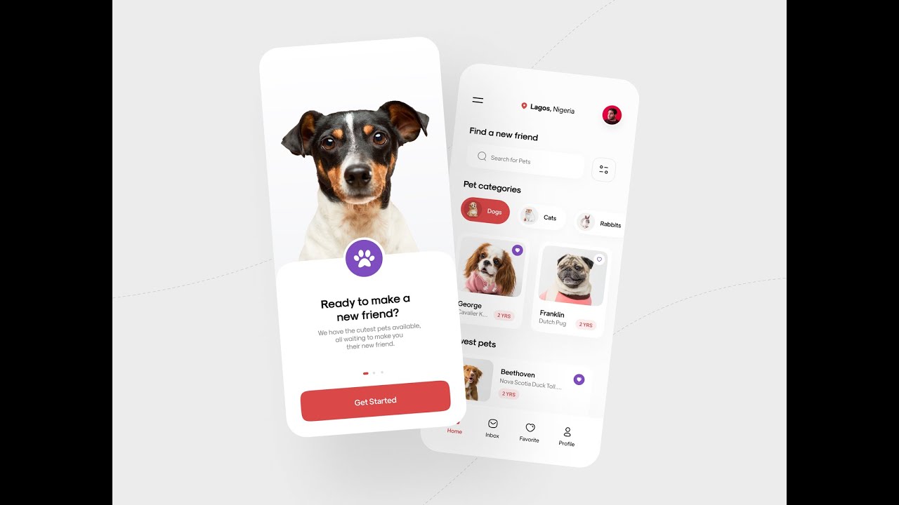 Flutter Pet Adoption UI Tutorial Part 2