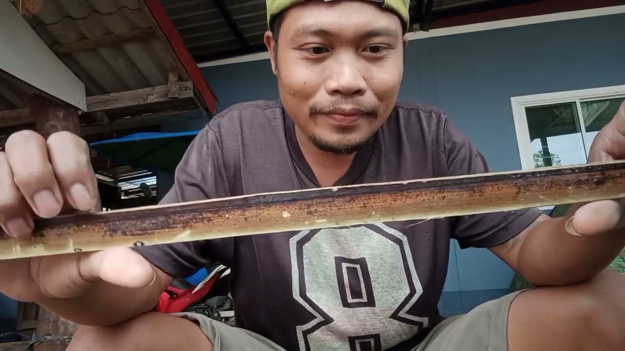 ep,362 วิธีเหลาก้านลานทำปีกว่างสำหรับมือใหม่!! 