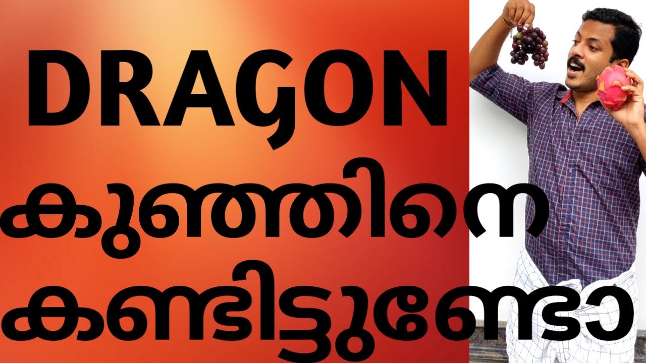 BLOOD-ലെ COUNT കൂട്ടാൻ മുന്തിരിക്കുലയും DRAGON കുഞ്ഞും