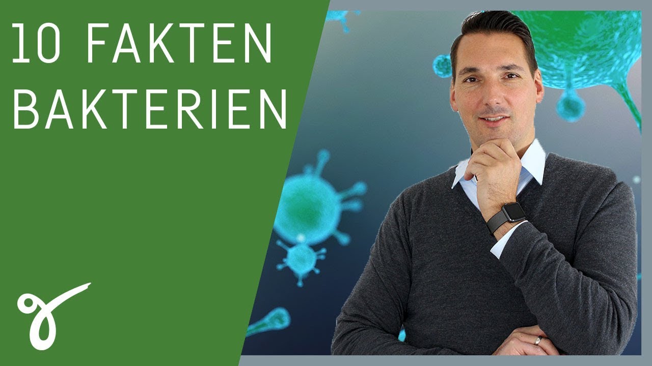 10 Fakten &uuml;ber Bakterien, die jeder kennen sollte! | Gerne Gesund