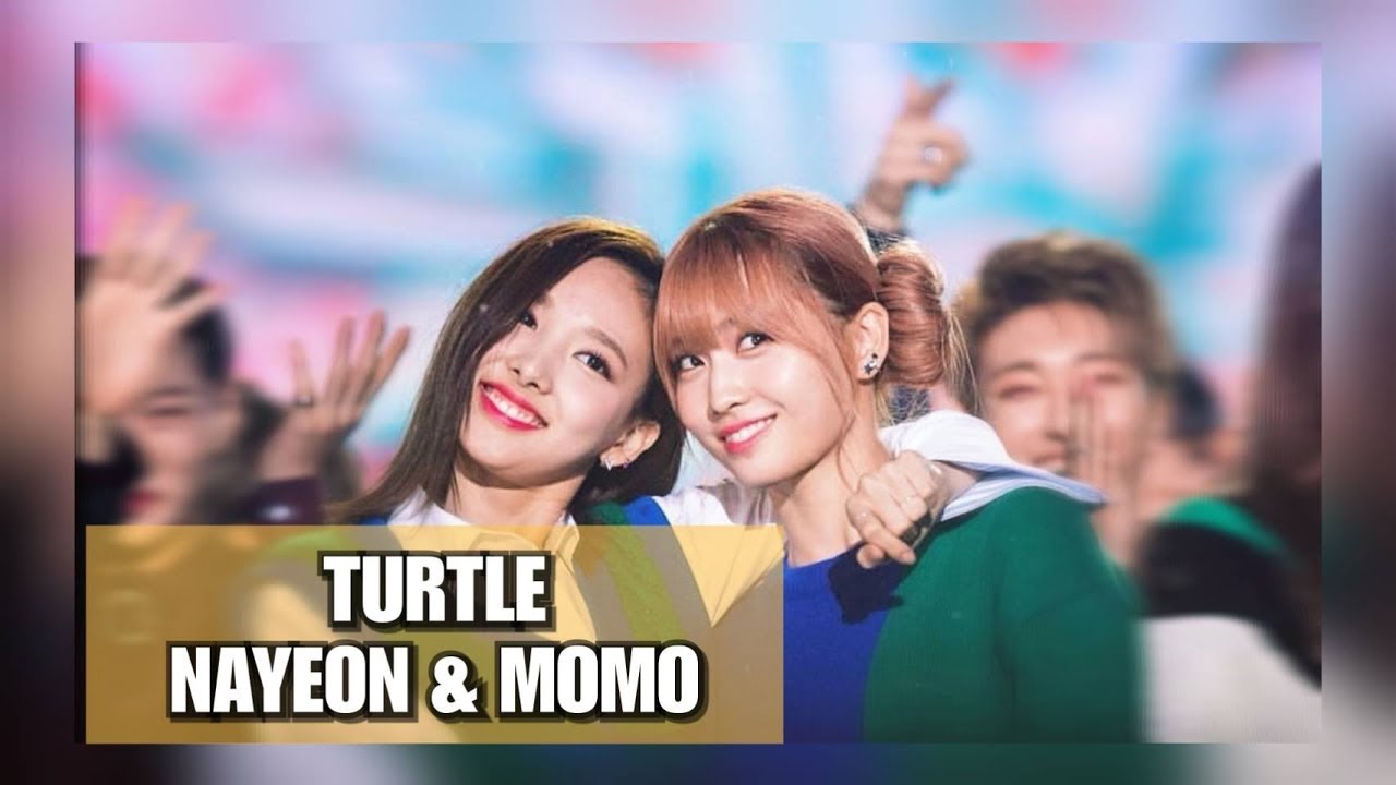 TWICE | Nayeon & Momo [FMV] | "TURTLE" (트와이스 | 나연 & 모모)