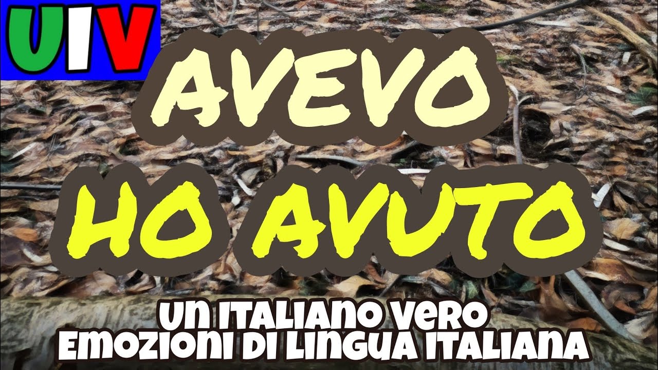AVEVO oppure HO AVUTO? L'imperfetto (indicativo) e il passato prossimo del verbo AVERE | UIV