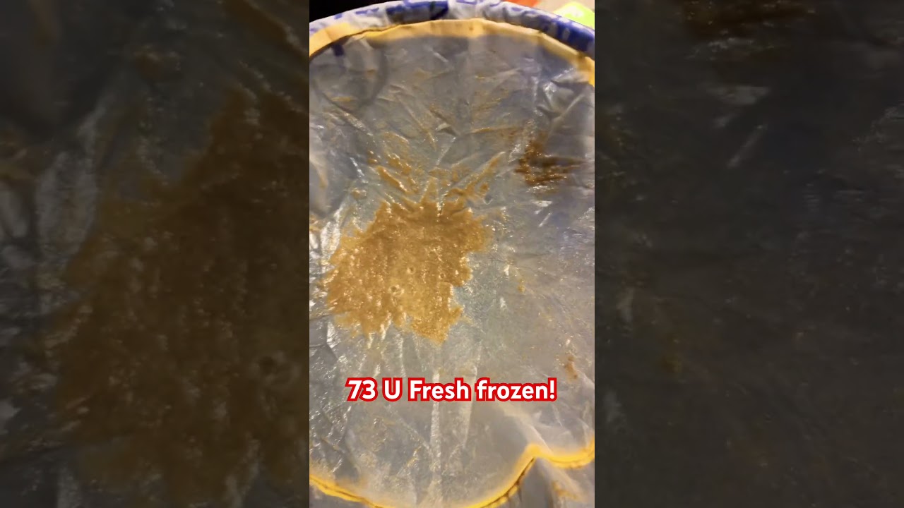FRESH FROZEN BUBBLE HASH! 
