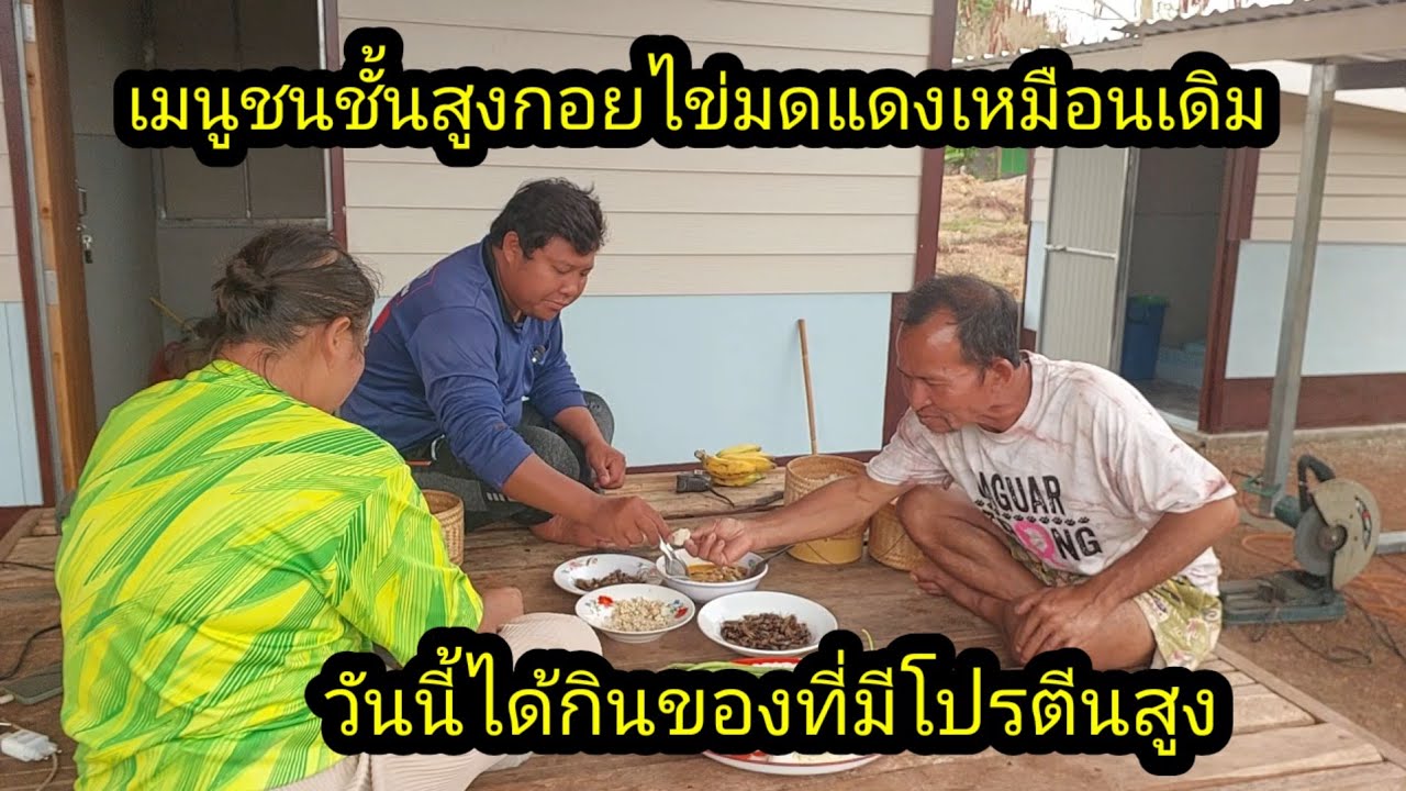 วันนี้ได้กินก้อยไข่มดแดงอาหารชั้นเลิศ#จิตอาสา 