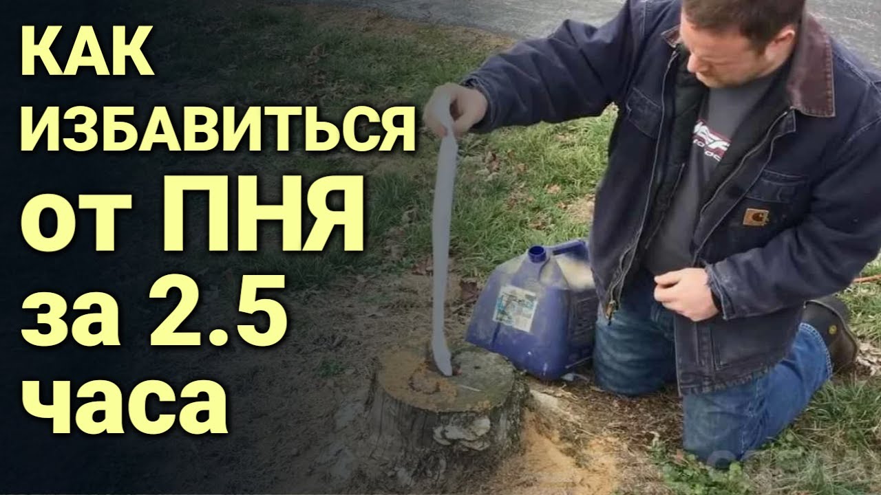Как ИЗБАВИТЬСЯ от ПНЯ за 2,5 часа