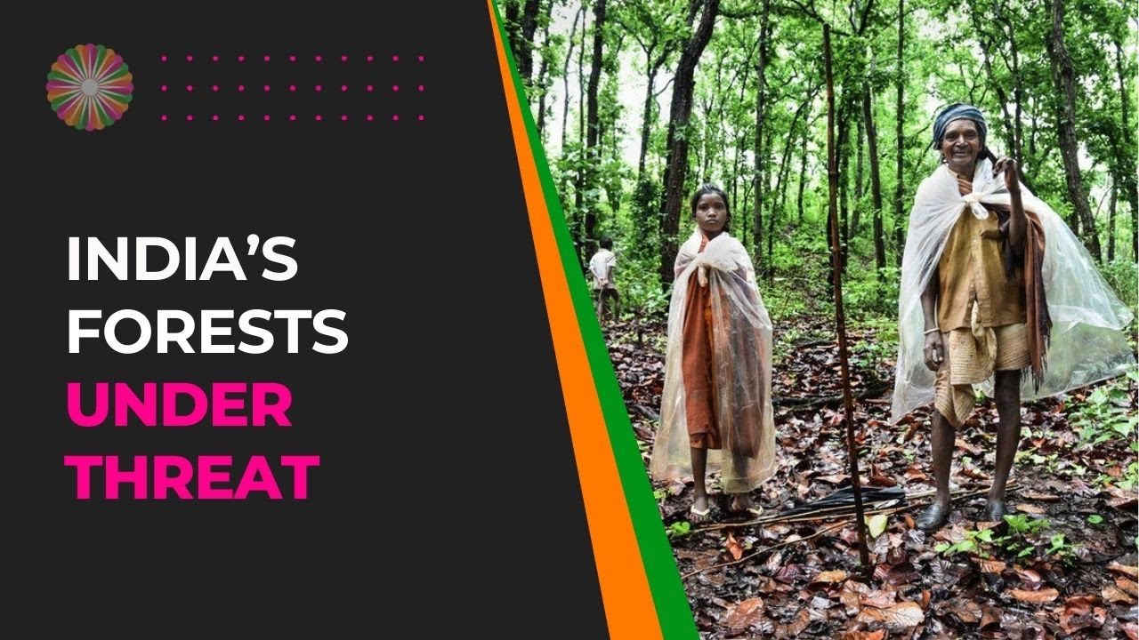 India's Forests Under Threat