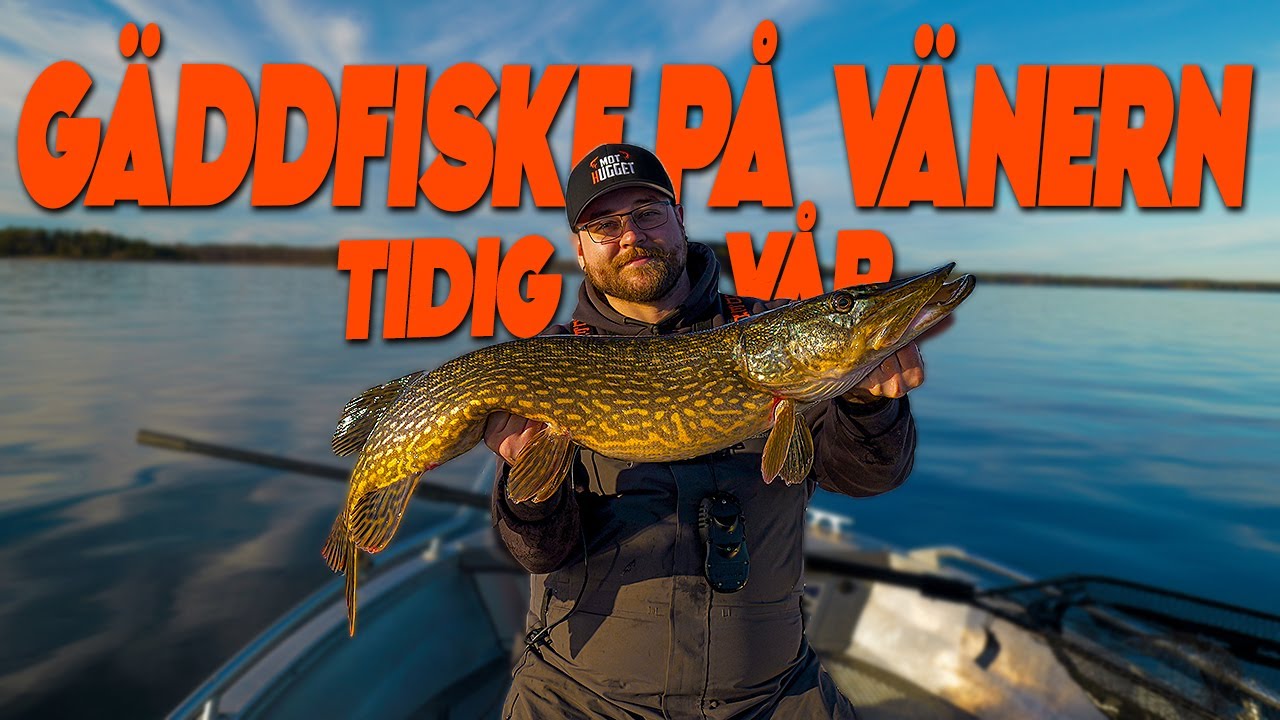 VÅRFISKE EFTER GÄDDA PÅ VÄNERN! - Mothugget med Alex
