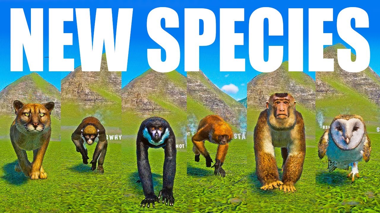 New Species Animals Speed Race in Planet Zoo included Barn Owl,  L'hoest's Monkey, Leaf Monkey