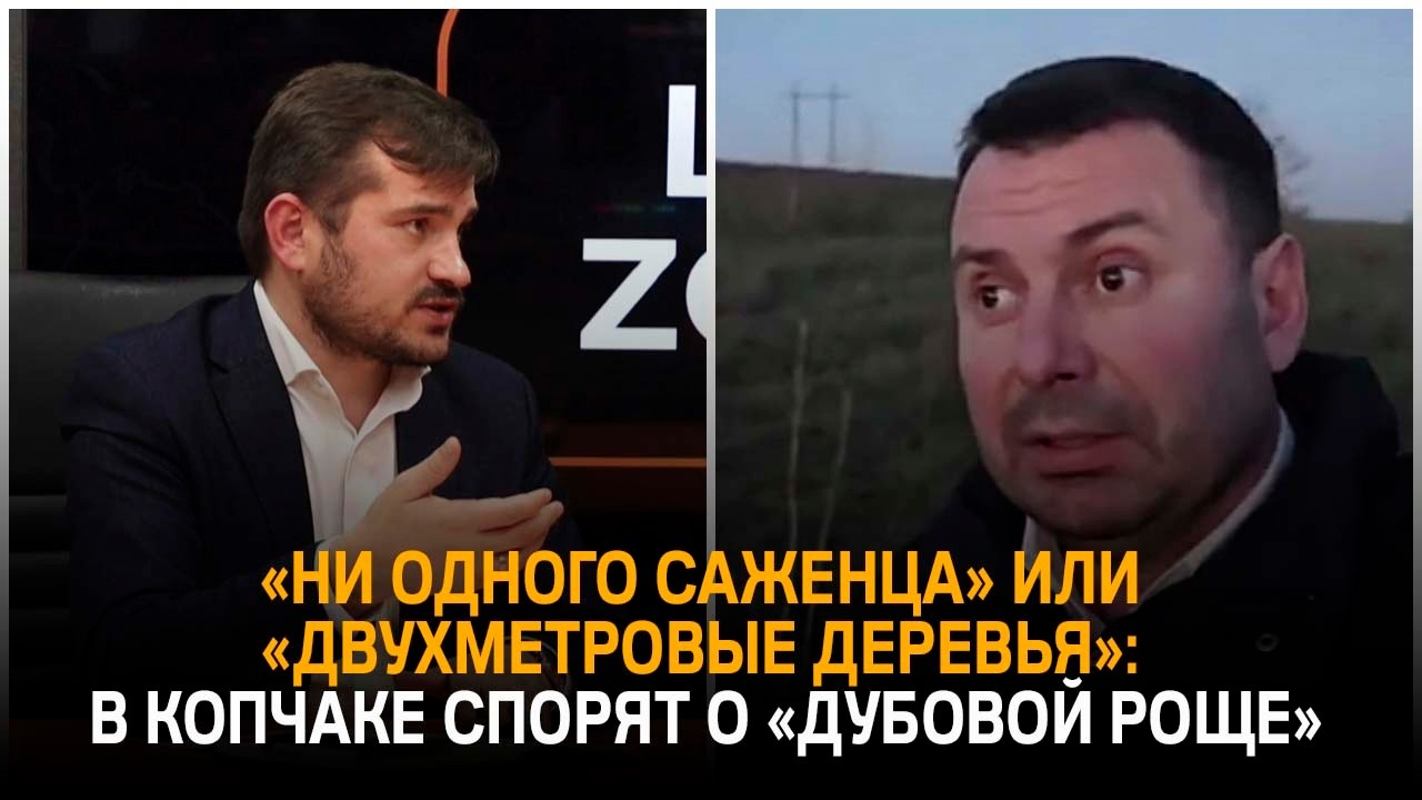 «Ни одного саженца» или «двухметровые деревья»: В Копчаке спорят о «дубовой роще»