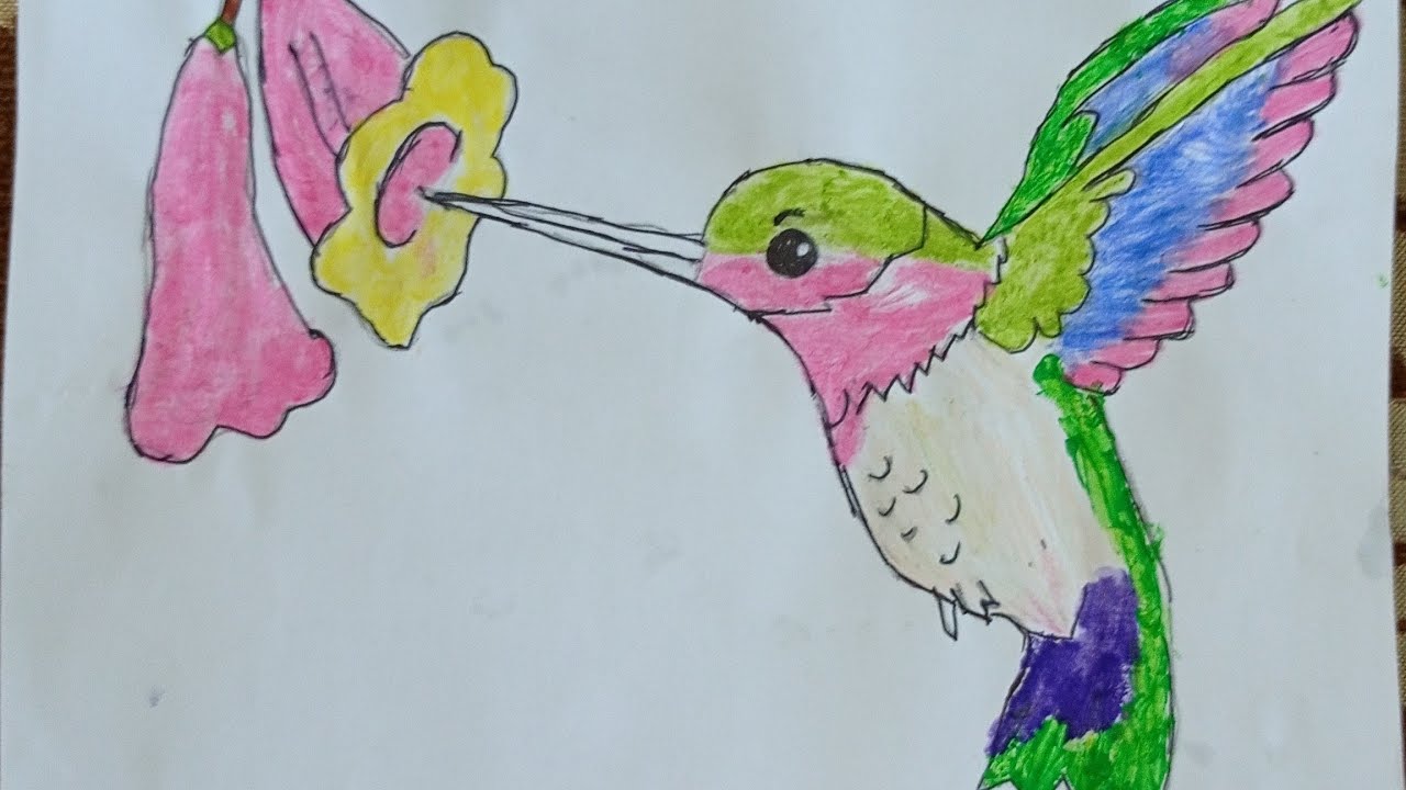 How to draw hummingbird 🐦🐦🐦 easy step-by-step drawing for beginners || simple way 