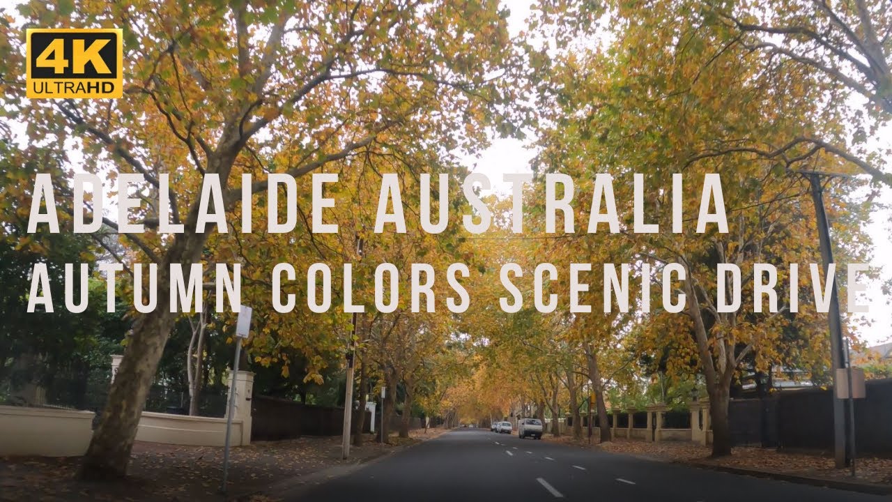 [4K] Autumn Colors Scenic Drive through along the Streets of Adelaide Australia
