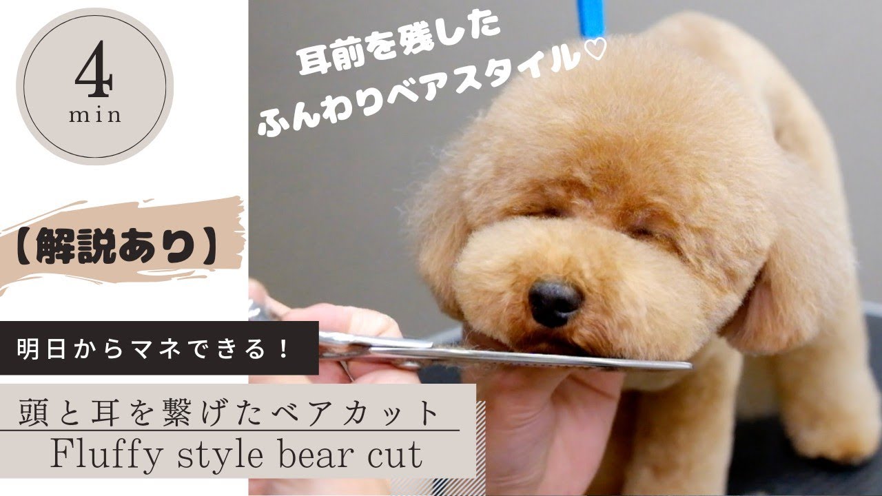 【解説あり】4分でわかる！頭と耳を繋げたふんわりベアカット
