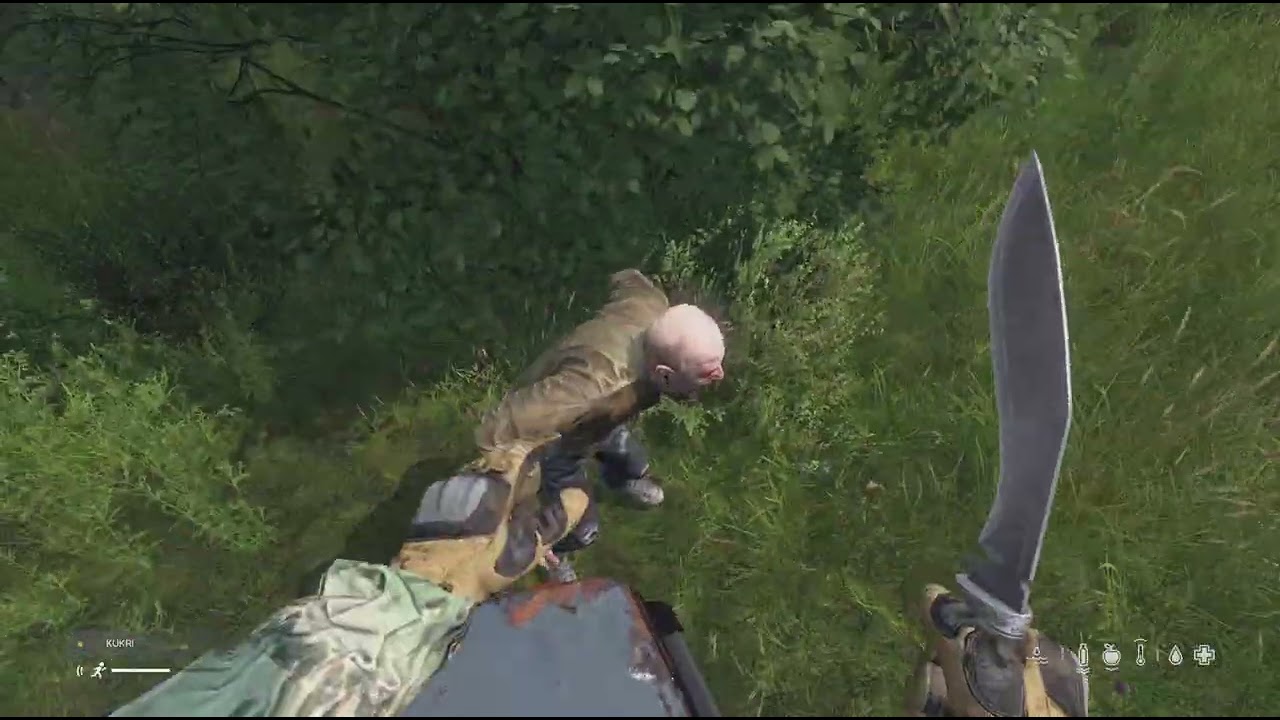 DayZ/Liwonia/Dolniki