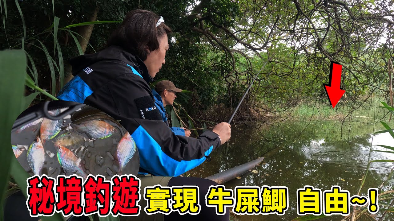 🔥水中小精靈🔥超美的原生魚 阿伯說這裡40年沒變 桃園高體鰟鮍探釣 秘境微物釣【漁樂爽報】Fishing Fun NEWS EP198  #釣魚 #钓鱼 #fishing
