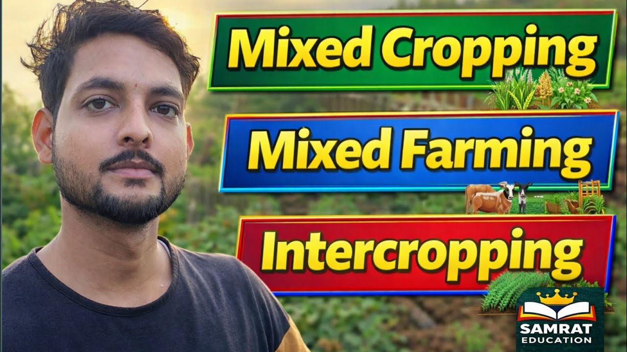 Mixed Cropping, Intercropping, Mixed Farming And Crop Rotation Explain In Hindi & English Language 