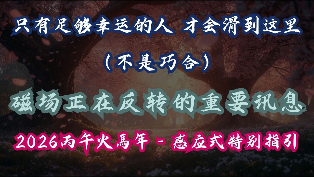 2026丙午火馬年｜宇宙为你特别设定的独一无二引导｜为你的灵魂而来