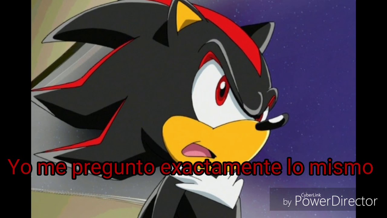 SonAmy Shadaria y Silvaze del Odio al Amor: De regreso a clases