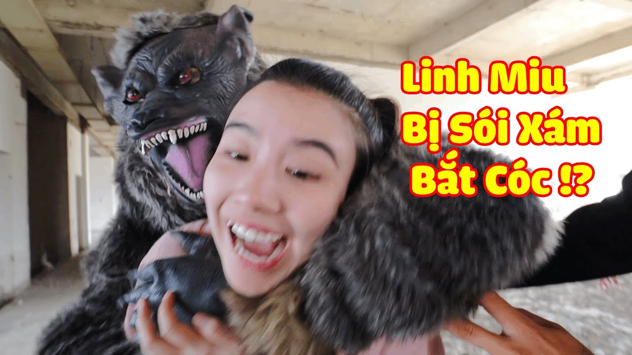 Linh Miu Bị Sói Xám bắt, Giải Cứu Linh Miu và Zeta | Linh Miu Official