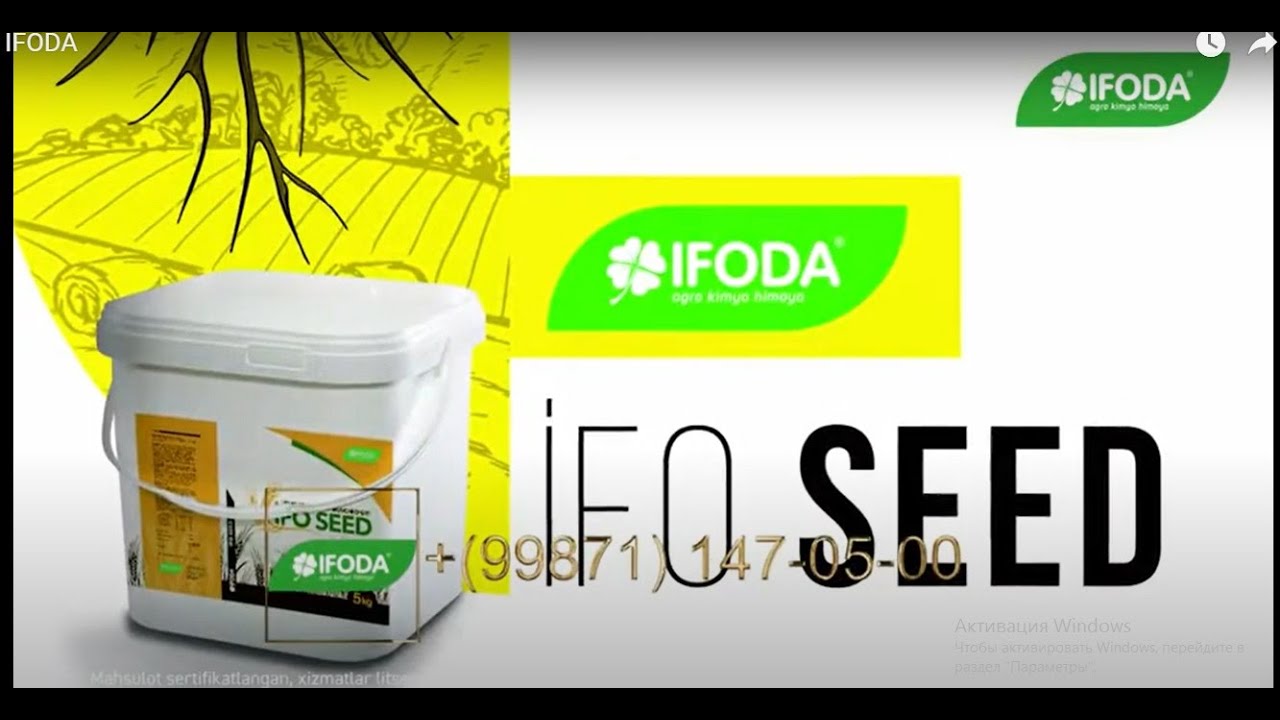 IFODA