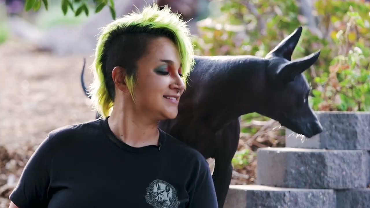 Xoloitzcuintle Crate Training ft. CCFT dog trainer Malory Knezha (K9fitbitch) PT.1