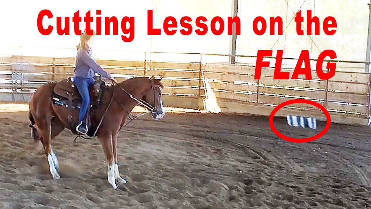 Cutting Horse Lesson On The Flag - How To Ride, Train And Show A Cutting Horse
