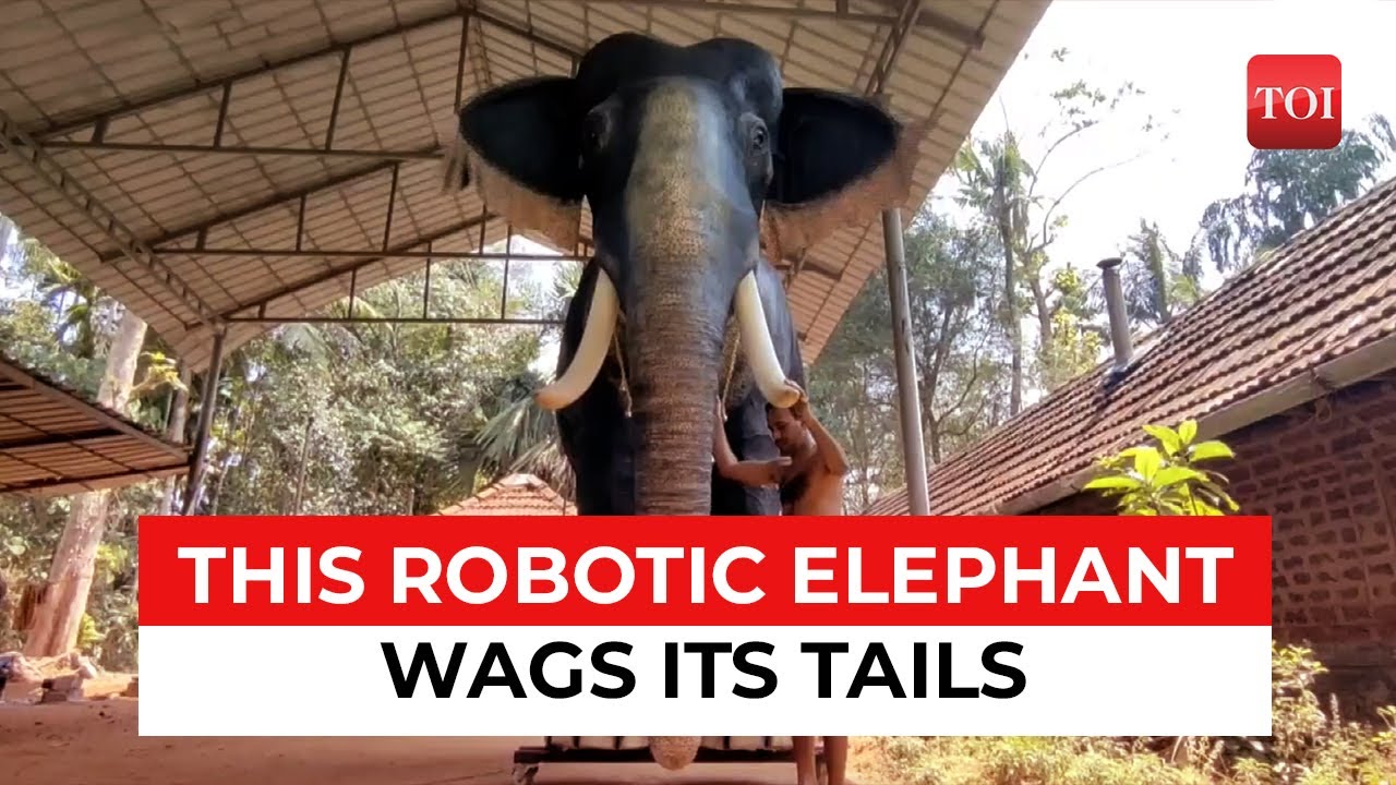 Technology in Temples: 'Robot&rsquo; elephant will be used for ritual duties in this Kerala temple