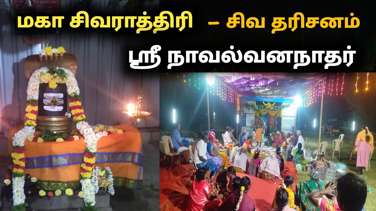 மலை அடிவாரம்  நாவல் வனத்தில் சிவபூஜை சிவராத்திரி Naaval vananathar manampathy X road நாவல்வனநாதர் 