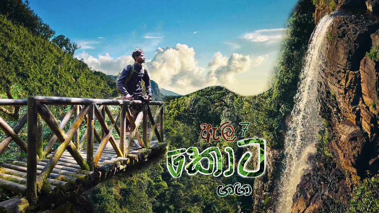 කොට ගග ඇලි හත මුදුනේ ගෙවුණ නිදහස් කදවුරු රාත්‍රීය. 🍃 #kotagaga #kotagagaeli7 #knucklesmountainrange 